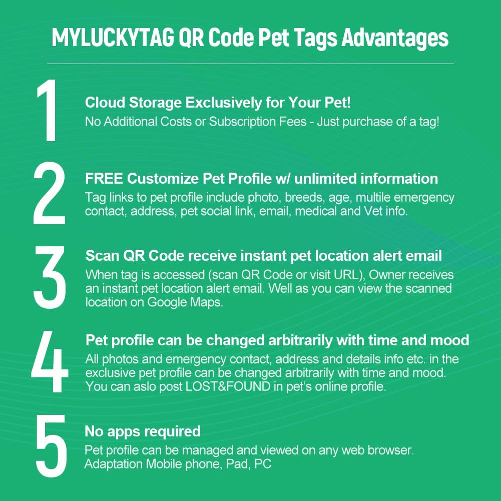 QR Code Pet ID Tag – Smart Stainless Steel Dog & Cat Tag with Instant Lost Pet Alerts | LoyalPup™