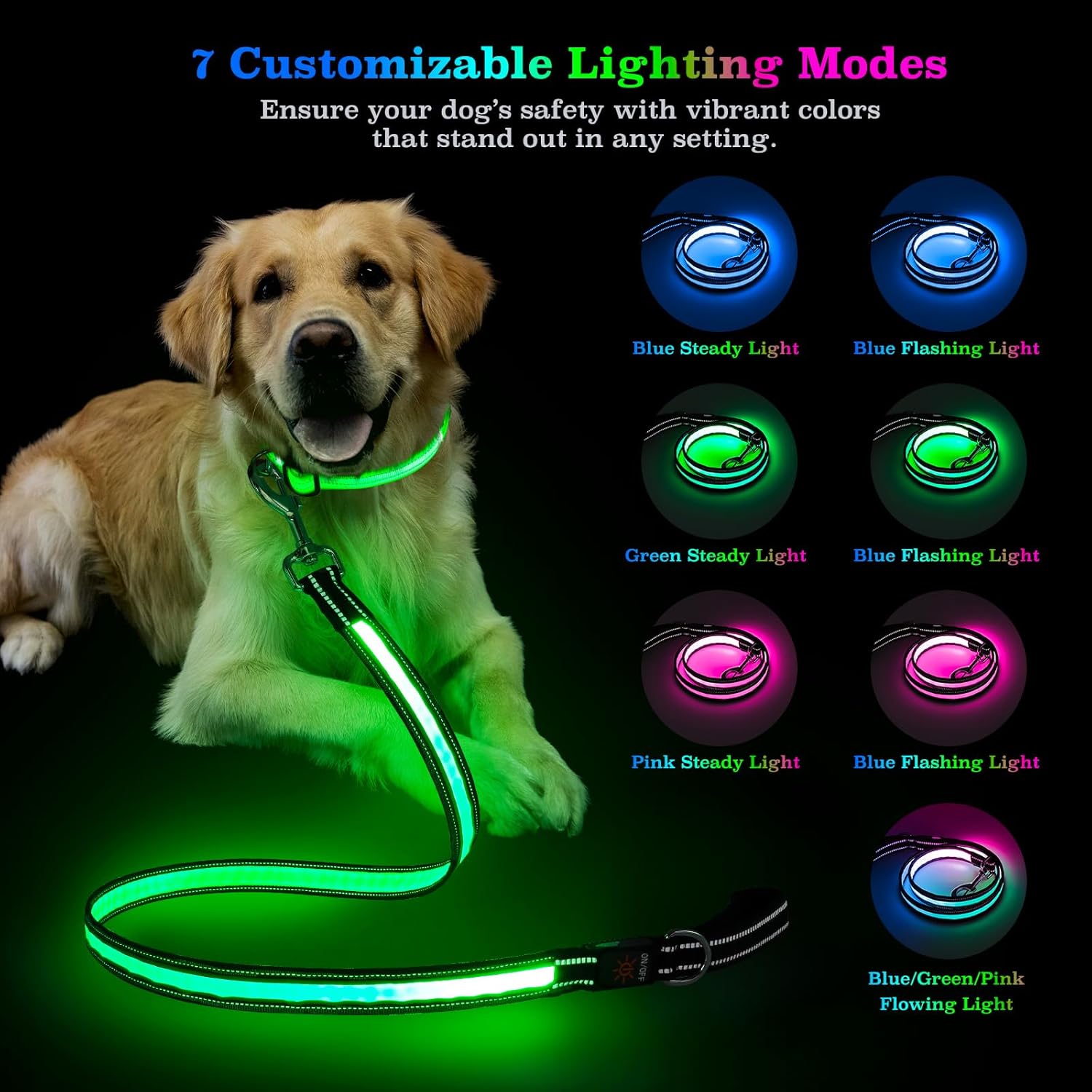 LED Light-Up Dog Leash – Rechargeable, Reflective Night Safety Leash