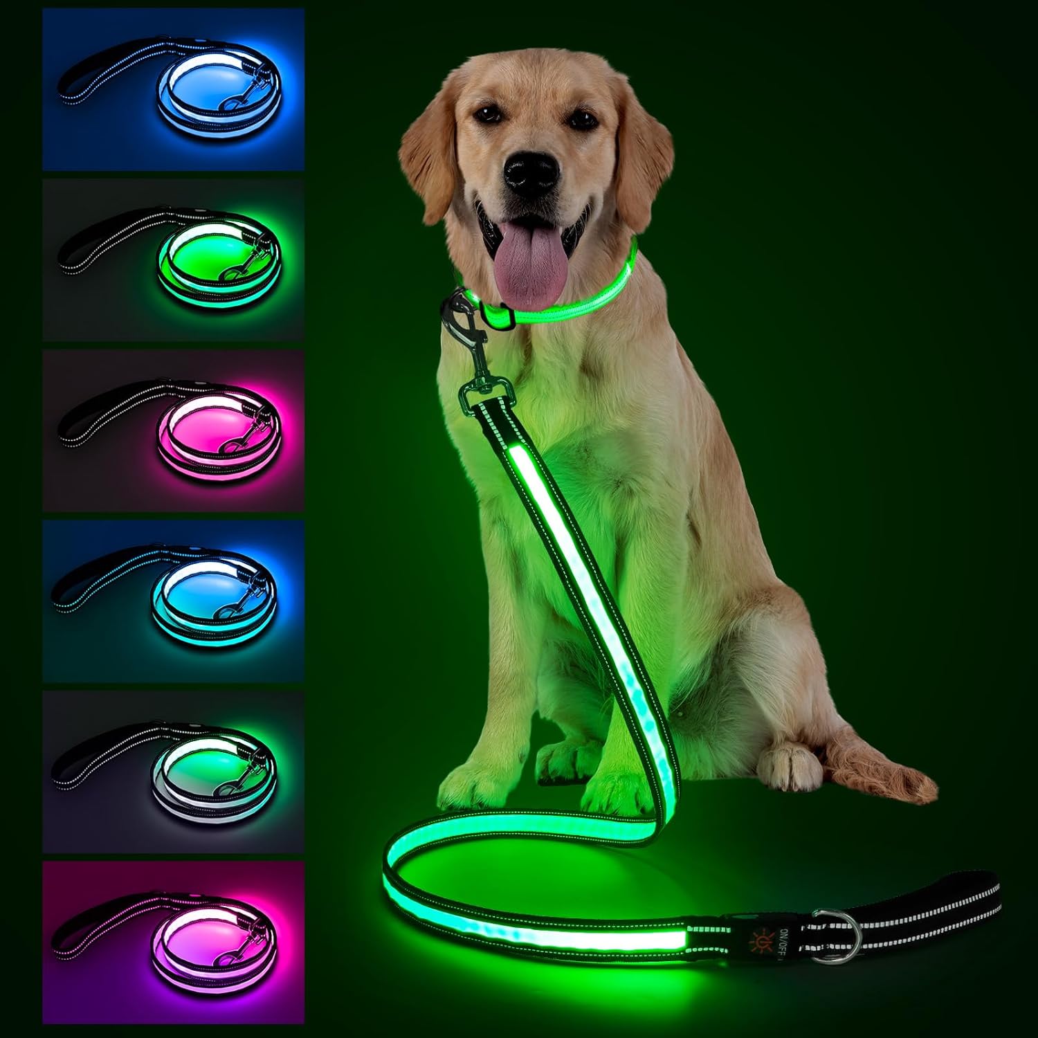 LED Light-Up Dog Leash – Rechargeable, Reflective Night Safety Leash