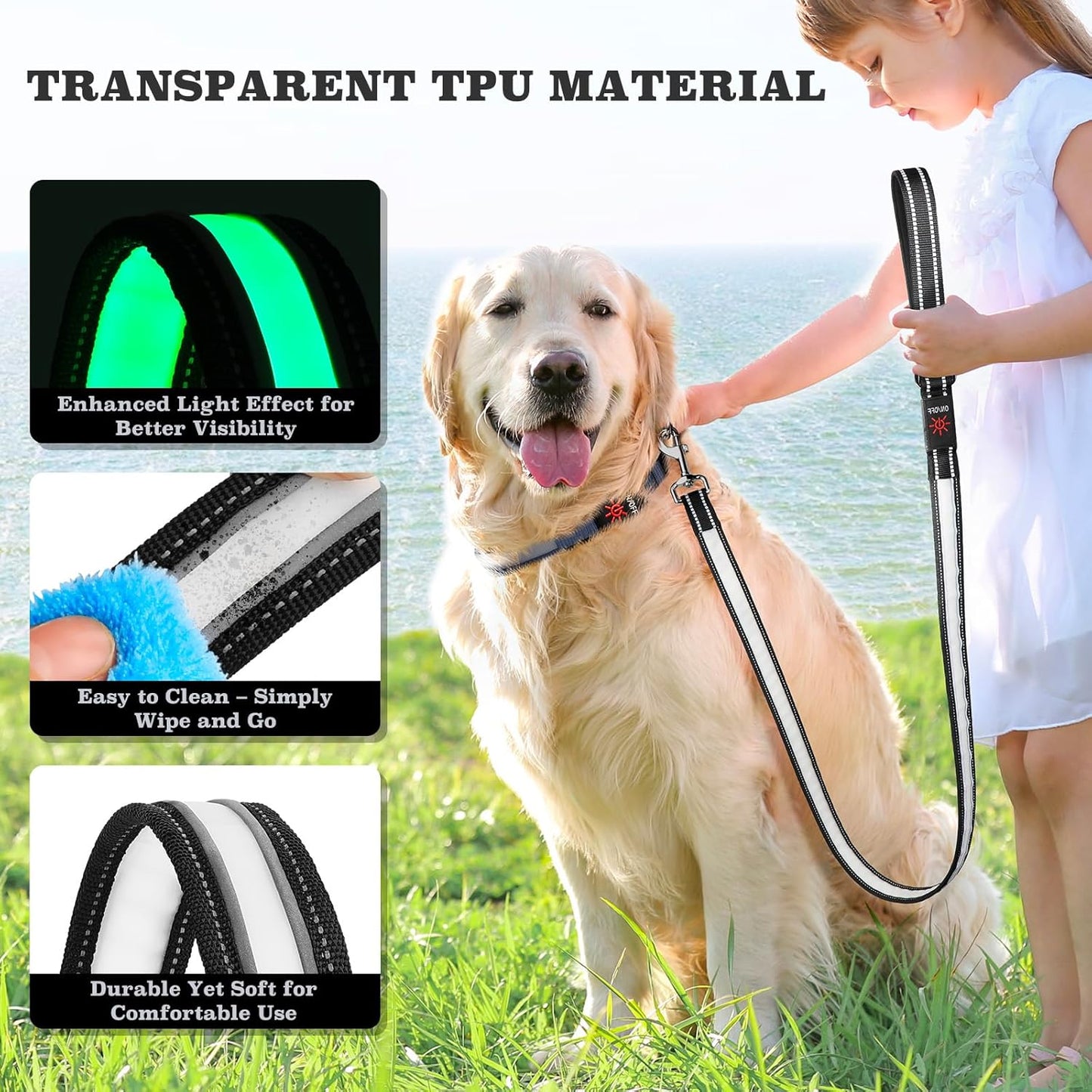 LED Light-Up Dog Leash – Rechargeable, Reflective Night Safety Leash