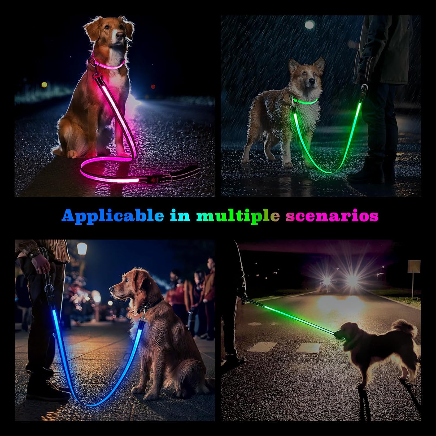 LED Light-Up Dog Leash – Rechargeable, Reflective Night Safety Leash