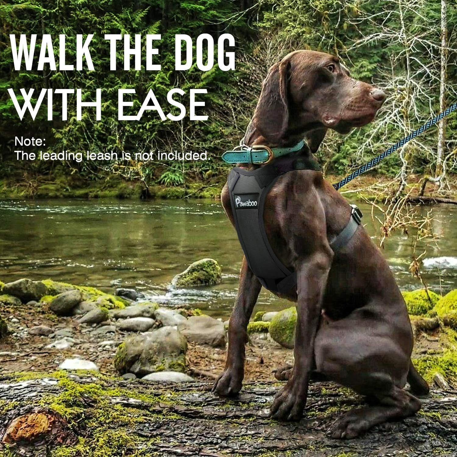 Dog Car Safety Harness with Seat Belt – Adjustable & Breathable